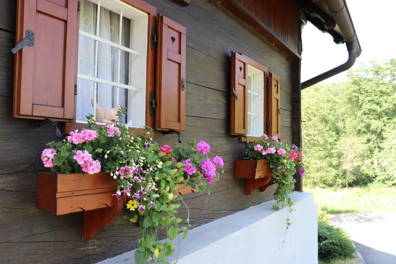 Ferienhaus Aurelia Villa Kitzeck im Sausal Exterior photo